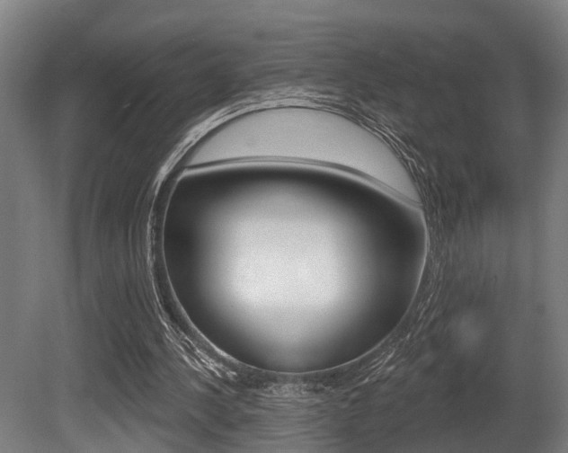 X0000081320244200701111036