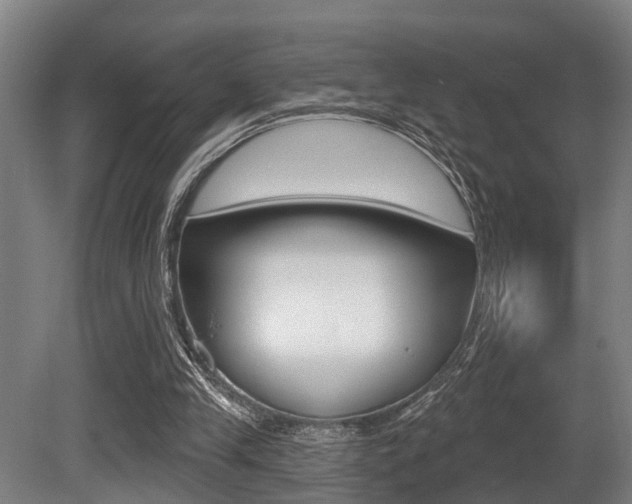 X0000081320245200701111036