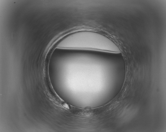 X0000081320247200701111036