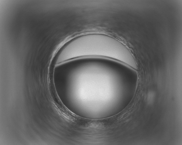 X0000081320248200701111036