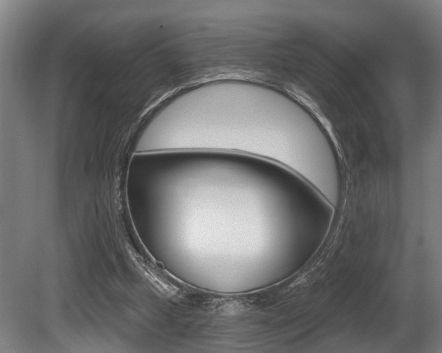 X0000081320249200701111036