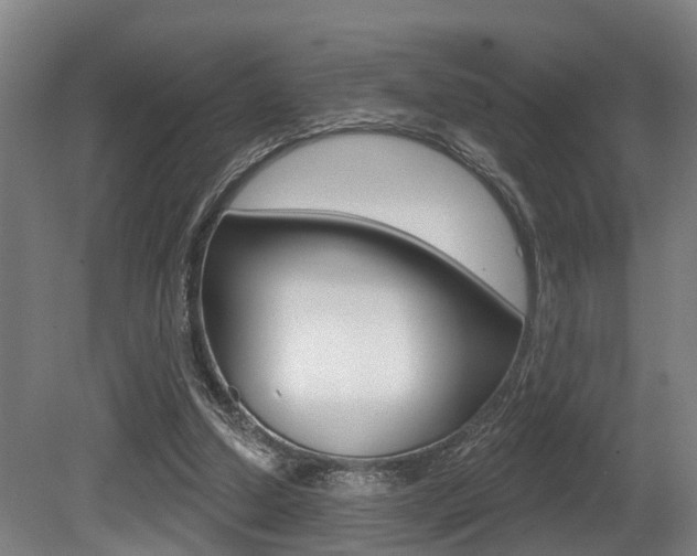 X0000081320250200701111036