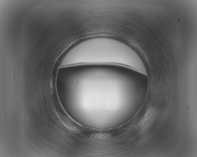 X0000081320251200701111036