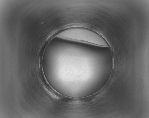 X0000081320253200701111036
