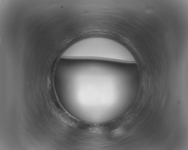 X0000081320259200701111036