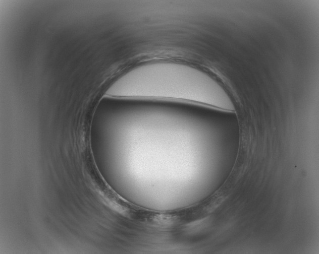 X0000081320261200701111036