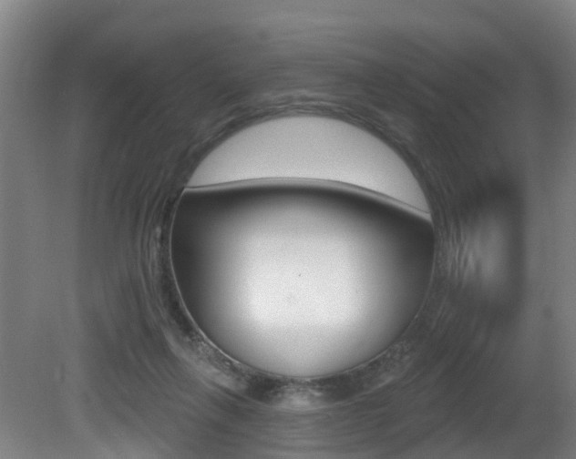 X0000081320263200701111036