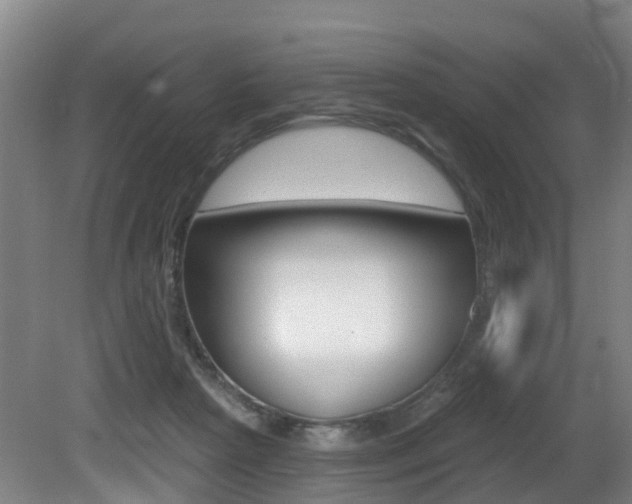 X0000081320265200701111036