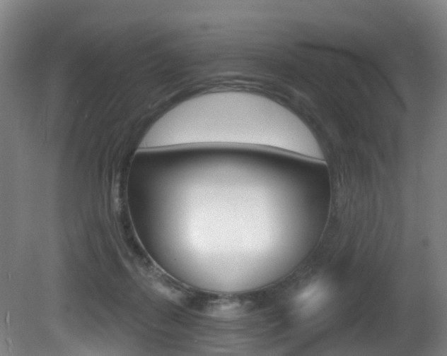 X0000081320267200701111036