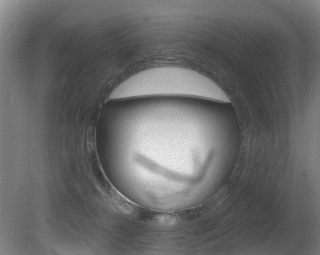 X0000081320272200701111036