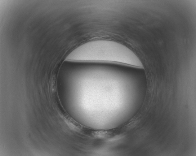 X0000081320273200701111036