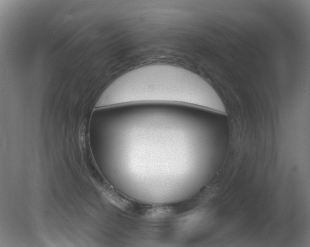 X0000081320274200701111036
