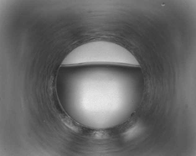X0000081320275200701111036