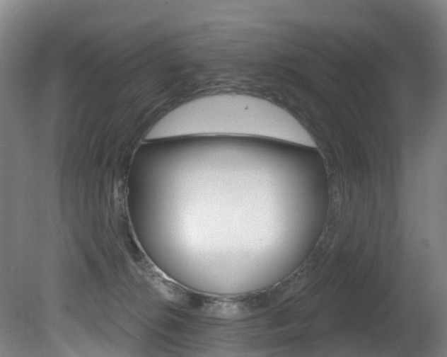 X0000081320276200701111036