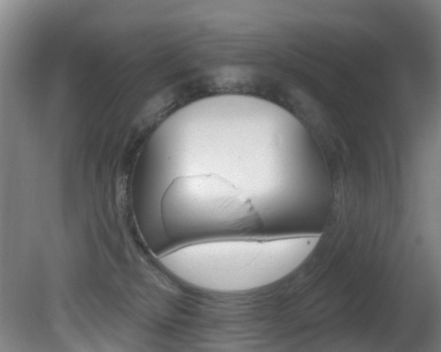 X0000081320278200701111036