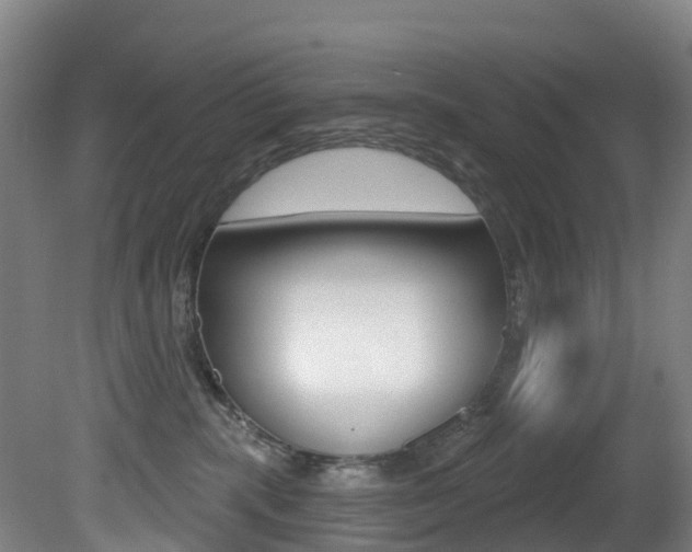 X0000081320283200701111036