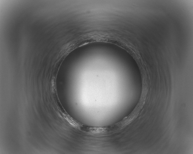 X0000081320288200701111037
