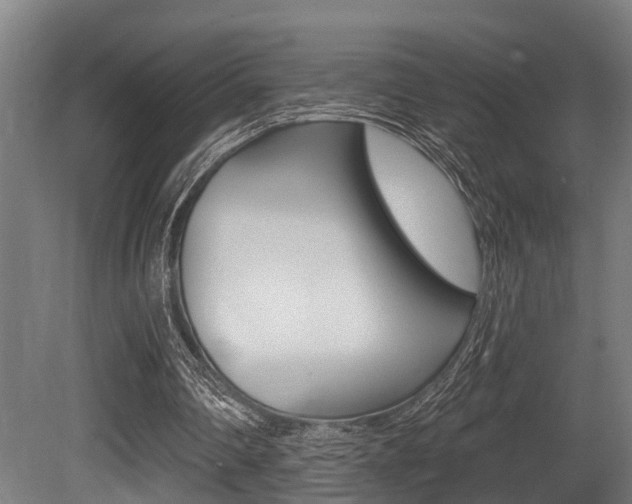 X0000081320290200701111036