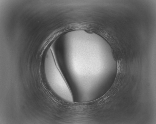 X0000081320291200701111036