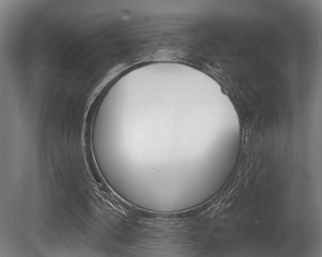 X0000081320292200701111036