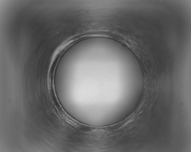 X0000081320294200701111036