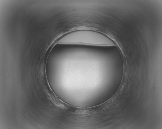 X0000081320297200701111036