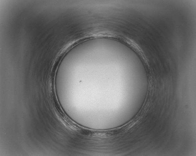 X0000081320298200701111036