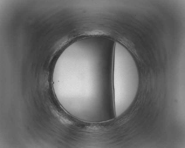 X0000081320300200701111036