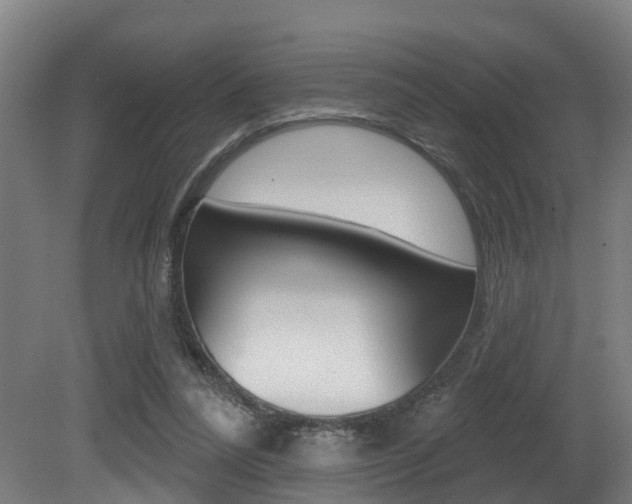 X0000081320304200701111035