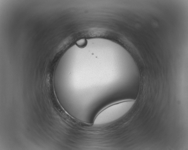 X0000081320308200701111035