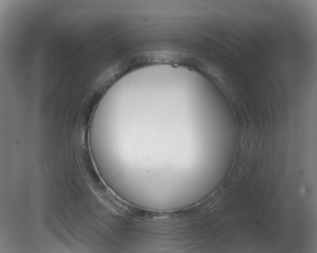 X0000081320310200701111035