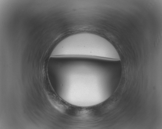 X0000081320312200701111035