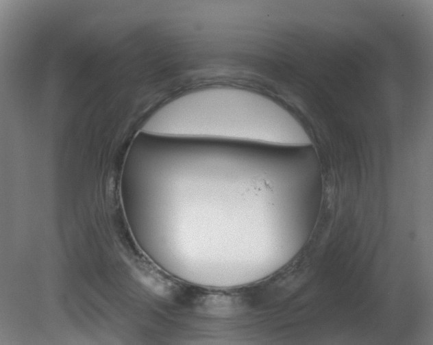 X0000081320314200701111035