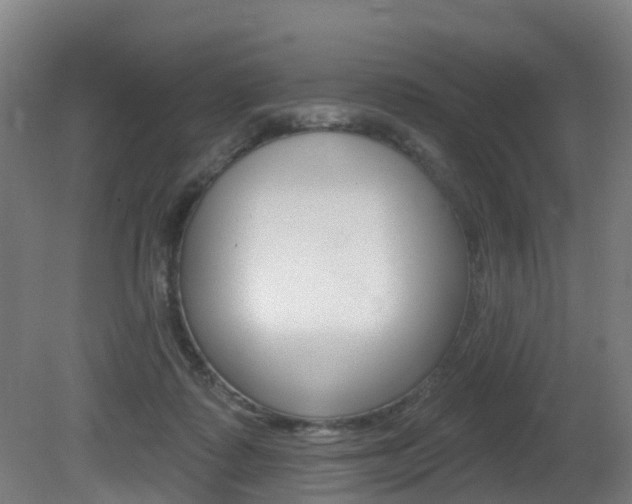 X0000081320315200701111035