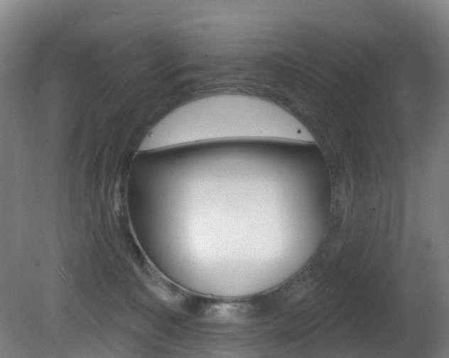 X0000081320323200701111035