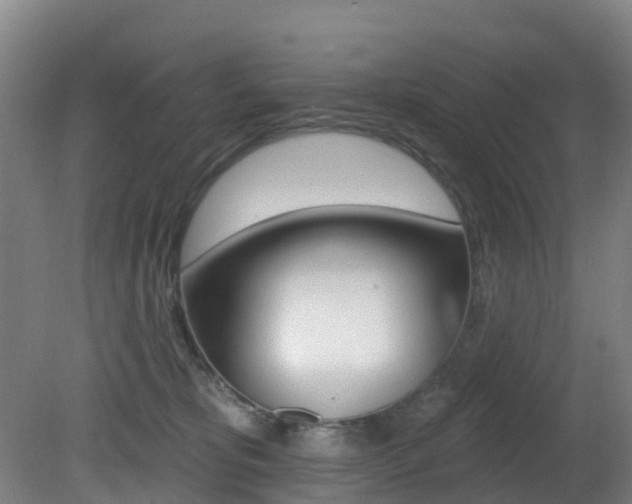 X0000081320325200701111035
