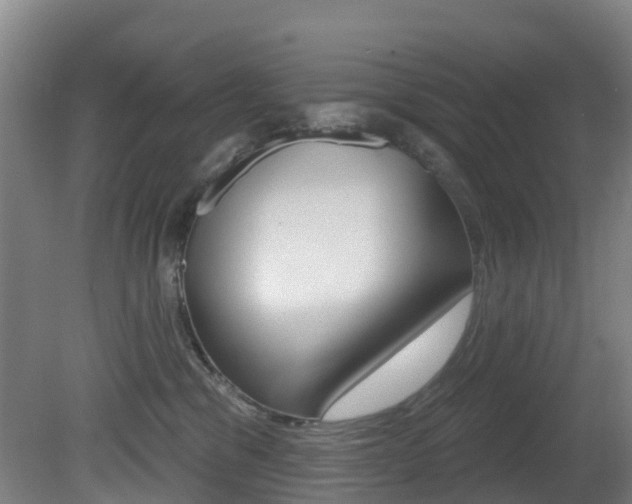X0000081320329200701111035