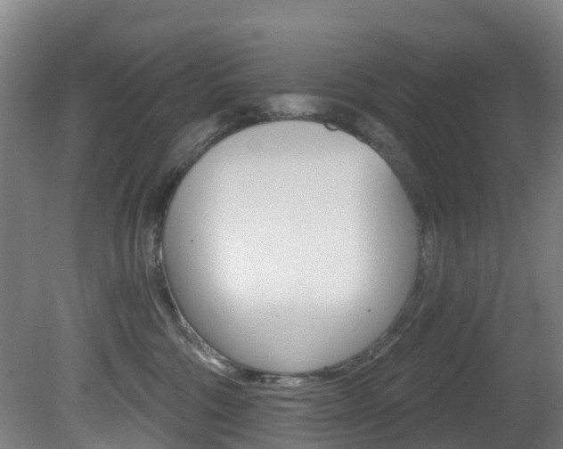 X0000081320330200701111035