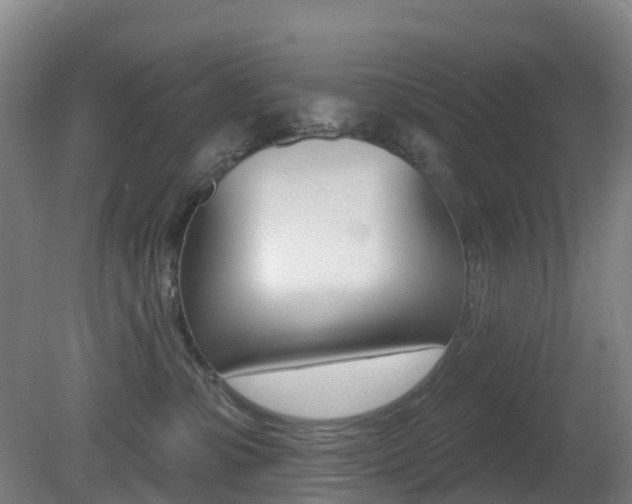 X0000081320331200701111035