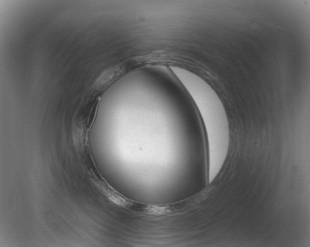 X0000081320333200701111035