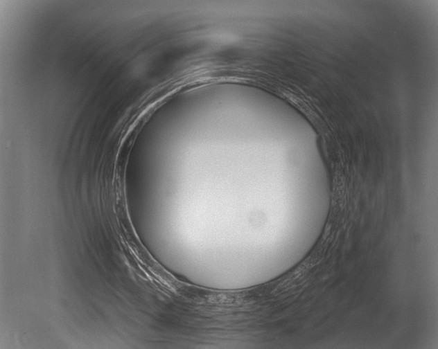 X0000081320338200701111034