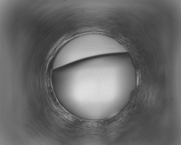 X0000081320339200701111034