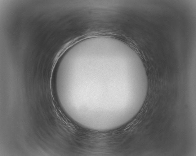 X0000081320340200701111034