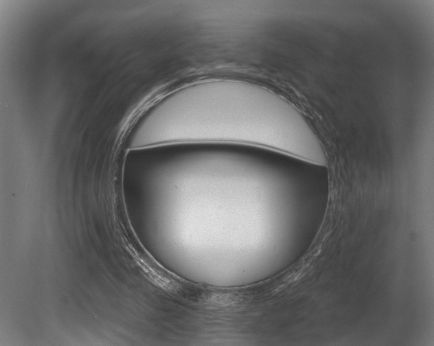 X0000081320341200701111034