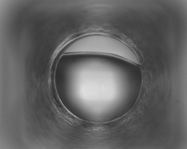 X0000081320344200701111034