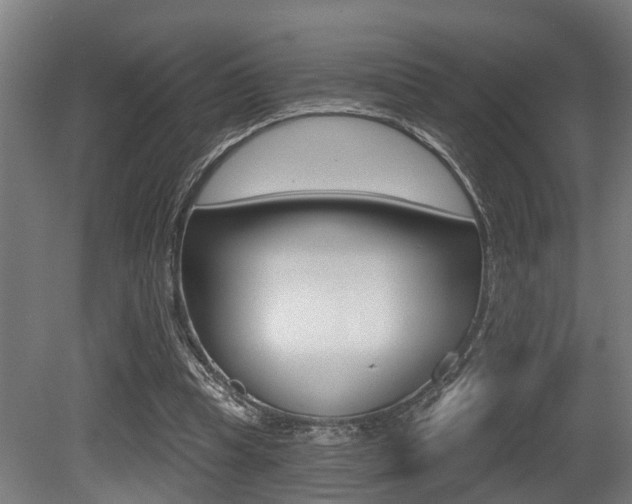 X0000081320345200701111034