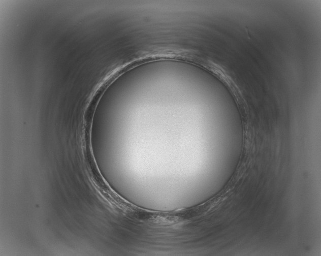 X0000081320346200701111034