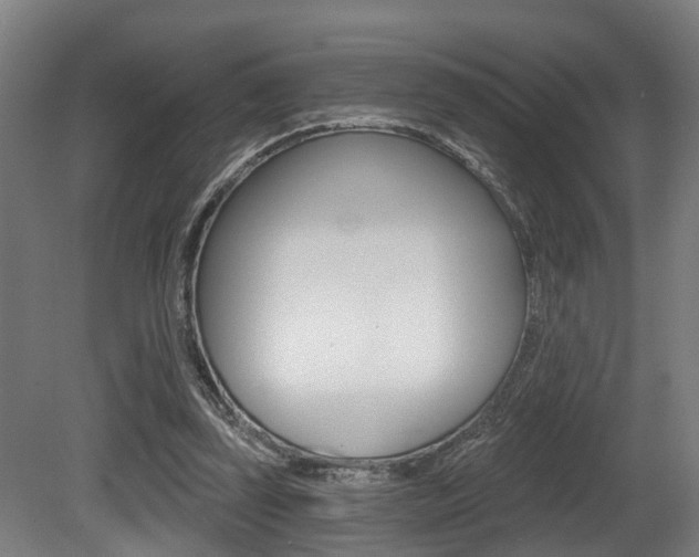 X0000081320347200701111034