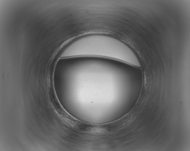 X0000081320348200701111034