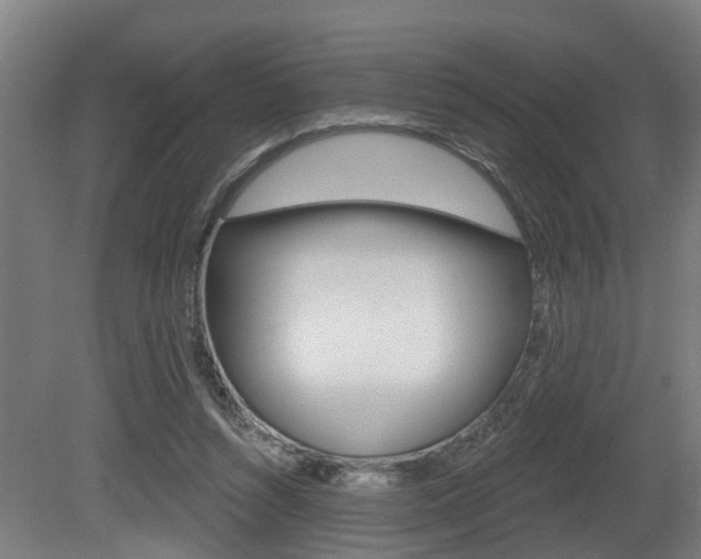 X0000081320352200701111034